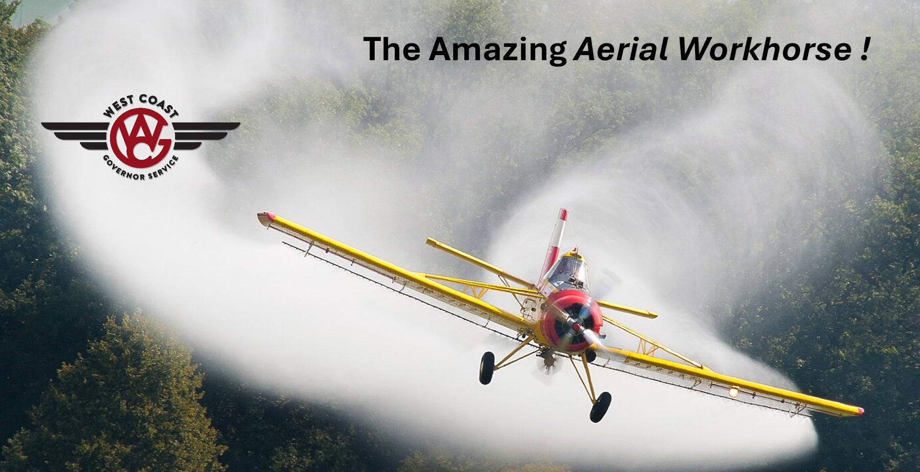 The Amazing Aerial Workhorse !